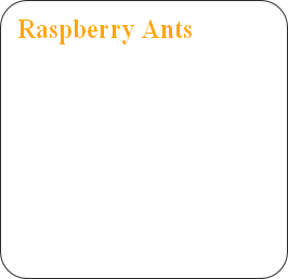 Raspberry Ants